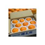 果物類 柿 2026年発送 輝太郎 秀品 3kg