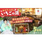 温泉 サウナ スパ利用券 5名様分 おふろcaf