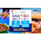 宿泊券 日本旅行 地域 旅行クーポン30 000円分