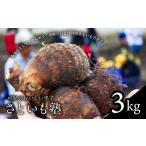 可児のおいしい里芋 さといも塾 3kg