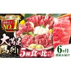 馬肉 全6回定期便 馬刺し大満足セット 計約410g