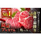 馬肉 プレミアム三角バラ馬刺し 熊本馬刺し