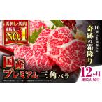 馬肉 全12回定期便 プレミアム三角バラ馬刺し