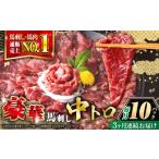 馬肉 全3回定期便 熊本肥育 熊本ならでは