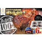 牛肉 ハンバーグ 全6回定期便 和牛 あか牛