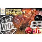 牛肉 ハンバーグ 全12回定期便 くまモンあか牛ハンバーグ …