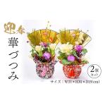 花 苗木 迎春 華づつみ 2個セット 正月 正月飾り