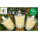水なし 加熱なし 砂糖なし 天然まるごと 完熟生パイナップ…
