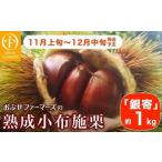 fu.... налог фрукты вид каштан Nagano префектура маленький ткань . блок .. маленький ткань . каштан [ серебряный .] примерно 1kg [... Farmer z] фрукты фрукты сырой каштан .. серебряный . Nagano префектура производство Shinshu производство . мир 7 год производство 2025...