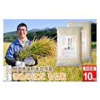 ふるさと納税 米・パン もち米 秋田県 由利本荘市 《予約受付》令和7年産 もち米 10kg（5kg×2袋） 秋田県 由利本荘市産 きぬのはだ 精米 10kg