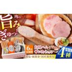 肉 ハム 6回定期便 美濃白川ハム 4種セット