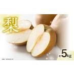 ふるさと納税 梨 福岡県 八女市  先行受付 梨（5kg）｜2026年9月下旬〜発送予定 なし 梨 旬 フルーツ 果物 くだもの 福岡県 八女市