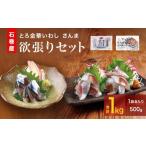 魚貝類 さんま とろ金華いわし 欲張り セット