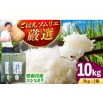 米 コシヒカリ 産コシヒカリ 10kg