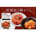 加工品等 キムチ 倭播椒 3種セット 倭播椒巻 260g