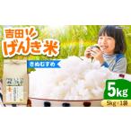 米 きぬむすめ お米 吉田げんき米きぬむすめ 5kg