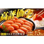 魚貝類 明太子 10回定期便 辛子明太子切れ子