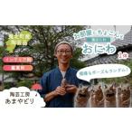 形 模様ランダム 鬼のハニワ おにわ 1体 陶芸