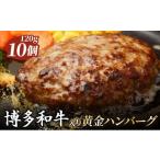 博多和牛入りハンバーグ120 g×10個