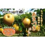 ショッピングふるさと納税 梨 ふるさと納税 梨 千葉県 白井市  2026年秋収穫分 梨 あきづき 約5kg 12〜16玉 農家直送 千葉県白井市 先行予約受付 アウーファーム