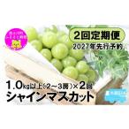 ぶどう マスカット 2027年発送分 2回定期便