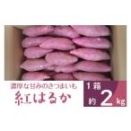 野菜類 サツマイモ 2026年度産 濃厚な甘みのさつまいも