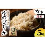 ふるさと納税 玄米 北