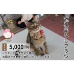 感謝状等 保護猫活動を応援 返礼品無し 5