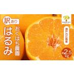 果物類 みかん 〈訳あり〉 はるみ 2.5kg