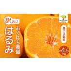 果物類 みかん 〈訳あり〉 はるみ 4.5kg