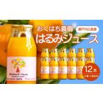 果汁飲料 みかん 先行受付 はるみジュース