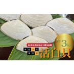 fu.... налог морское ушко * гребешок * др. Hokkaido . другой блок предварительный предварительный заказ R8 год 8 месяц средний ... последовательный отгрузка . другой производство . белый .( примерно 3kg)