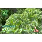 野菜類 カリーノケール1kg
