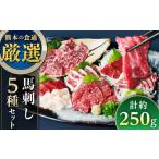 馬肉 令和8年熊本地震復興支援 馬刺し 5種