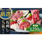 馬肉 全3回定期便 馬刺し 5種