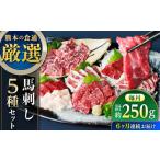 馬肉 全6回定期便 馬刺し 5種