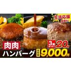 ふるさと納税 ハム・ソーセージ・ハンバーグ 熊本県 大津町  特別規格 ハンバーグ 鉄板焼き 肉肉ハンバーグ デミグラスソース ジャポネソース 食べ比べ 20個 …