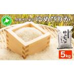 ふるさと納税 米 ゆめ