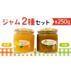 ジャム ジャム2種セット ゆず うめ コンフィチュール