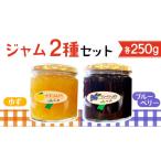 ジャム ブルーベリー ジャム2種セット ゆず