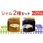 ジャム ブルーベリー ジャム2種セット うめ