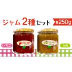 ジャム いちご ジャム2種セット うめ コンフィチュール