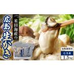 牡蠣 生牡蠣 米田海産の広島かき むき身 1.5kg