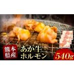牛肉 ホルモン あか牛 約 540g