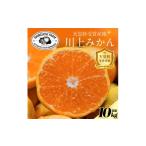 ふるさと納税 果物類 みかん 愛媛県 八幡浜市  天皇杯受賞産地 川上みかん 10kg 小玉 愛媛県八幡浜市 新口農園厳選 E70-127 1684228