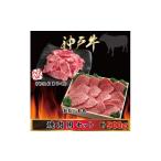 牛肉 焼肉 バーベキュー 神戸牛 焼き肉用セット 計900g