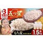 雑穀 プチプチのもち麦 キラリモチ 1.5kg