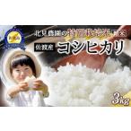 ふるさと納税 米 コシ