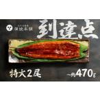 ふるさと納税 うなぎ 愛知県 豊橋市  年内お届け 特大サイズ 国産うなぎ 蒲焼 2尾 詰め合わせ 蒲焼 ウナギ 2尾 4尾 6尾 うなぎ 鰻 ウナギ unagi 土用 丑の日 …