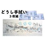 織物 繊維品 どうし手拭い 3枚組 DSL008